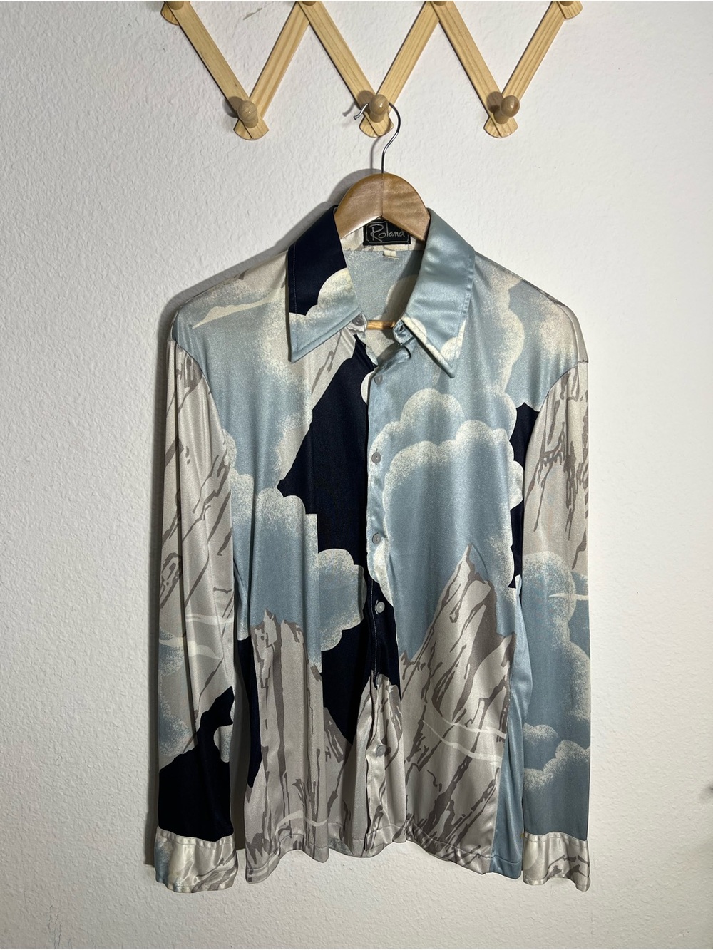 ROLAND • vintage 1970s mountain landscape with eagle print button-up disco shirt